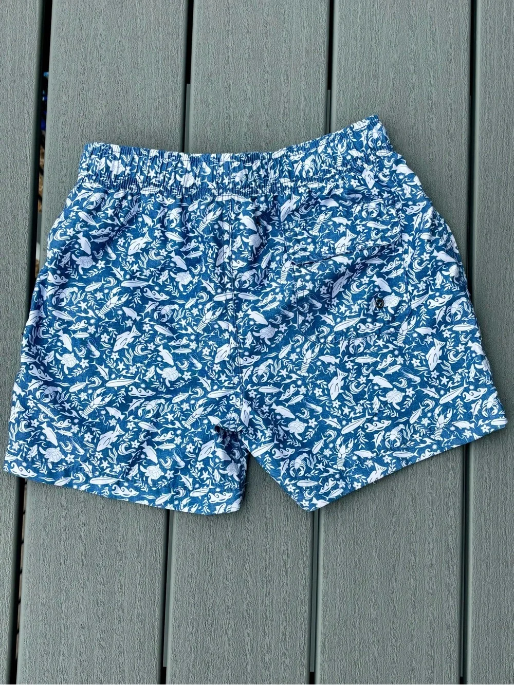 Surf Style Boys Size 10 Swim Trunks Set Tropical & Ocean Life Cut Out Liner